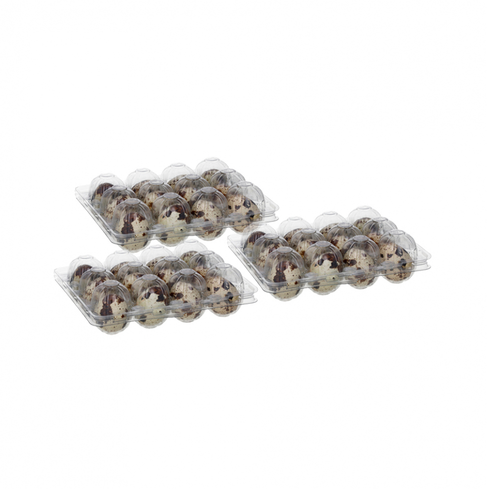 Huevos de codorniz (12 U)