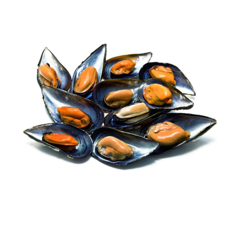 Mejillón de Galicia (1kg) WOFCO