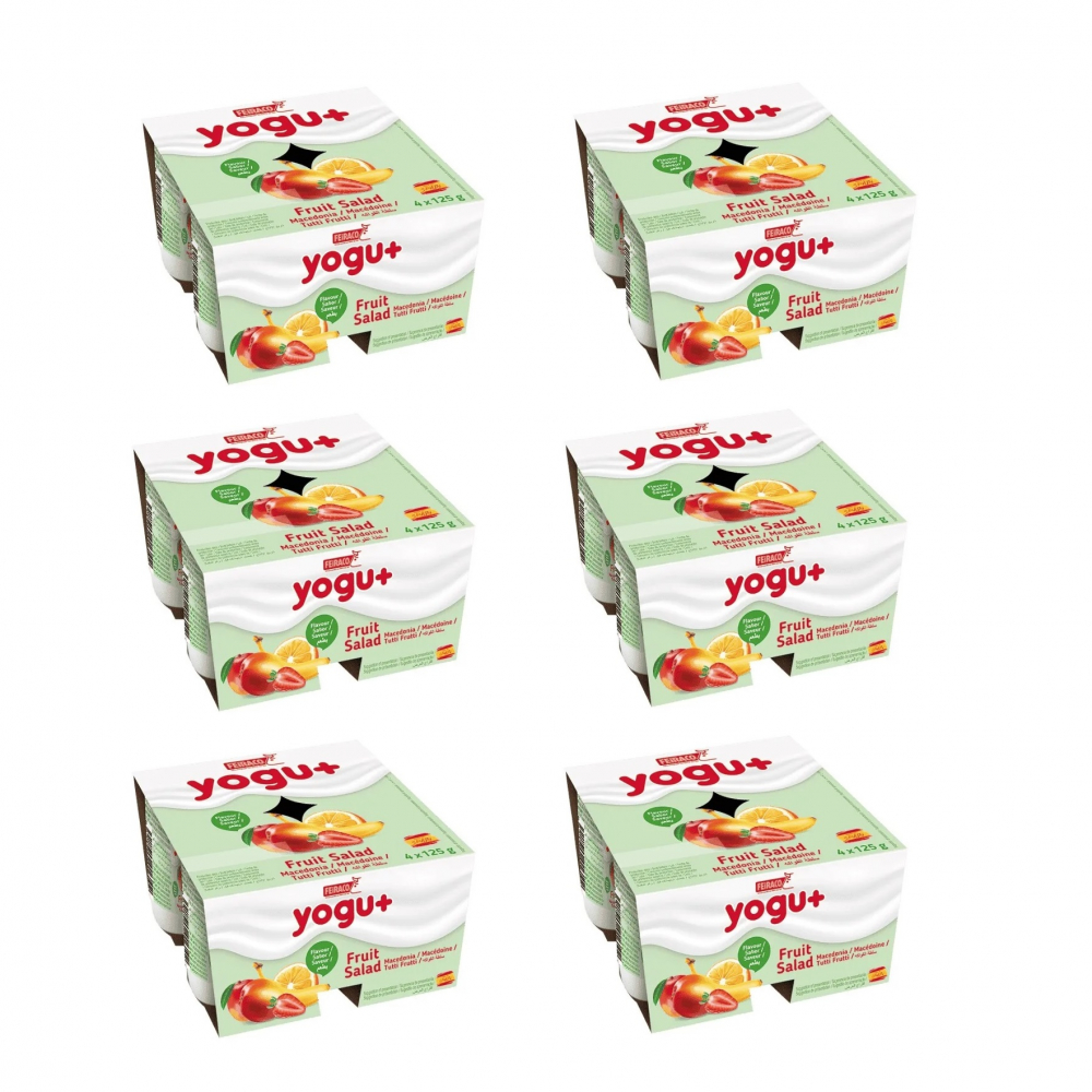 Yogurt de macedonia (24 x 125 g / 4.4 oz)